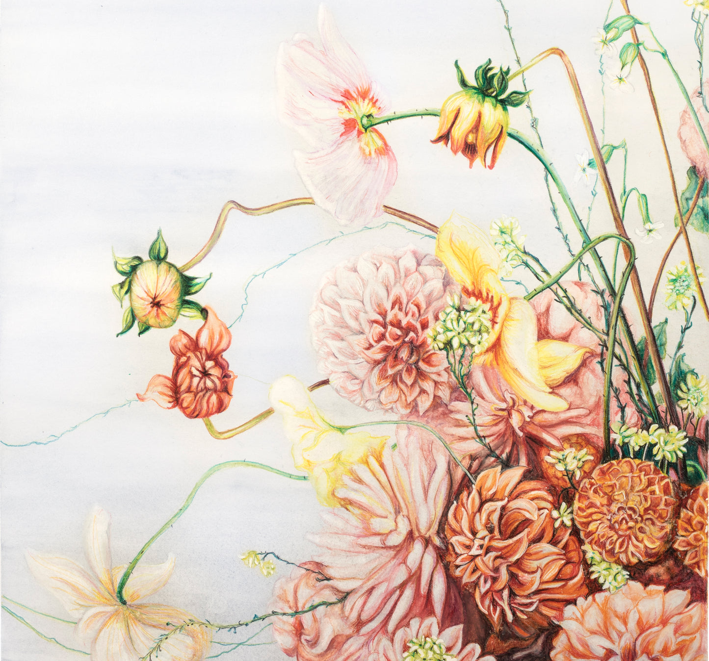 Colour Bomb - Limited Edition, Signed Print