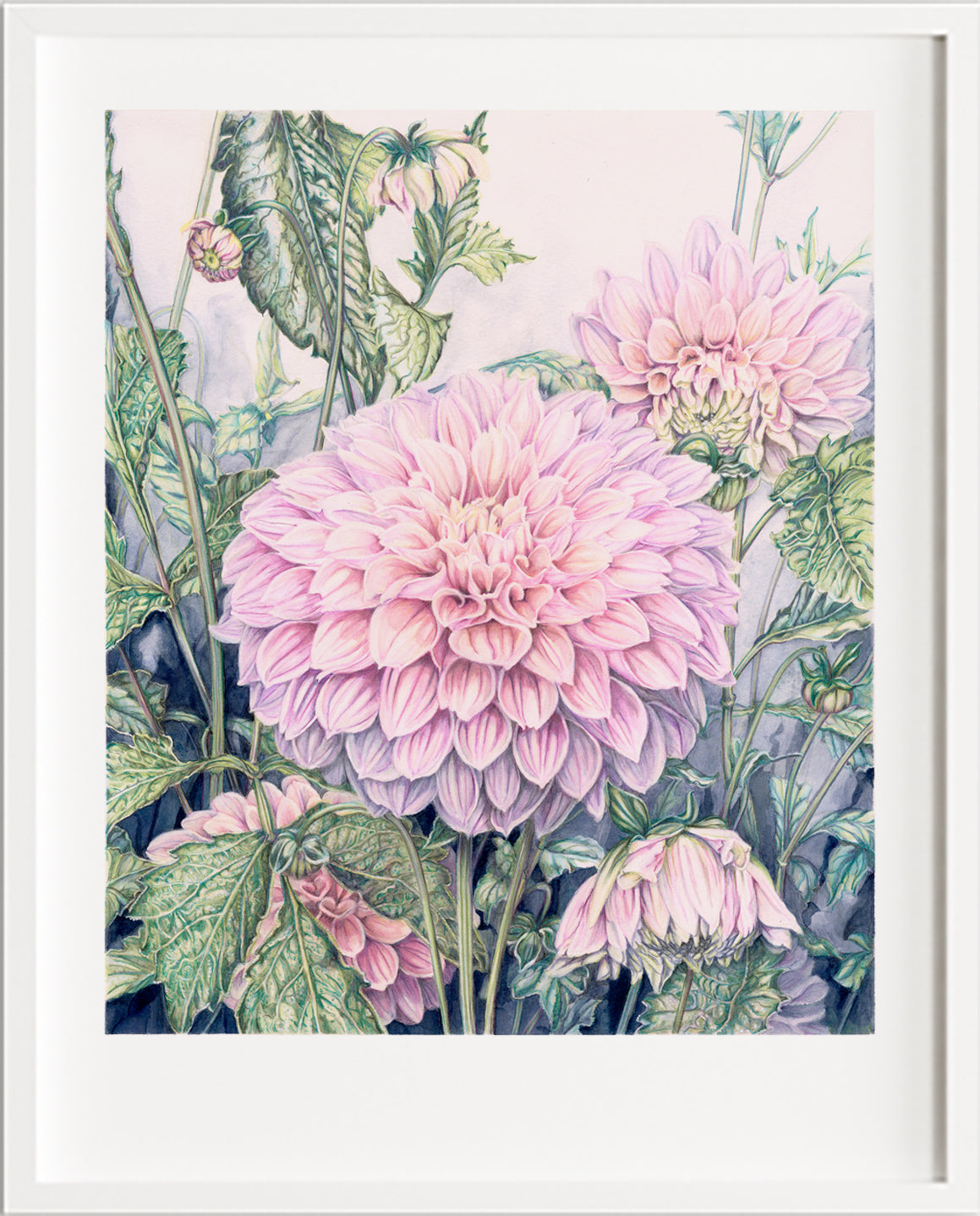 Pre-sales First Light - Limited and Open Edition Prints