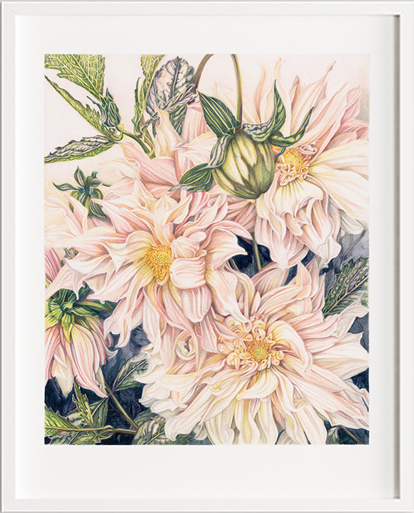 Golden - Limited Edition Prints