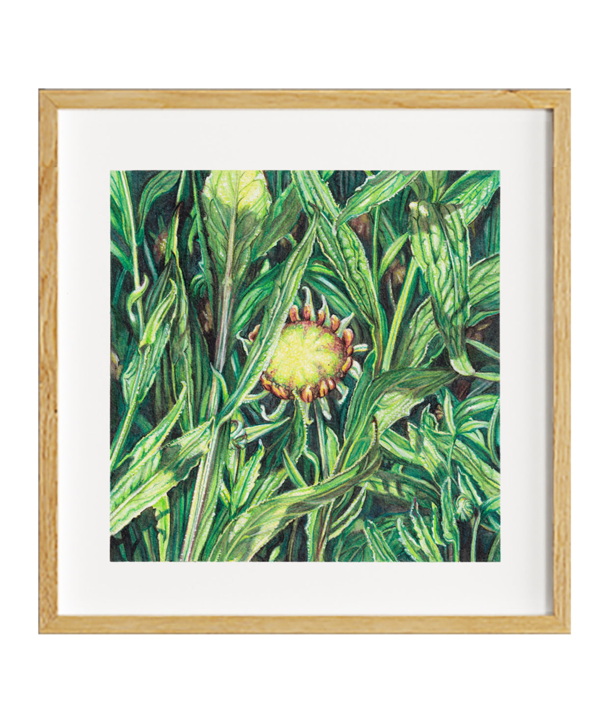 Can You See Me? - Limited Edition, Signed Print