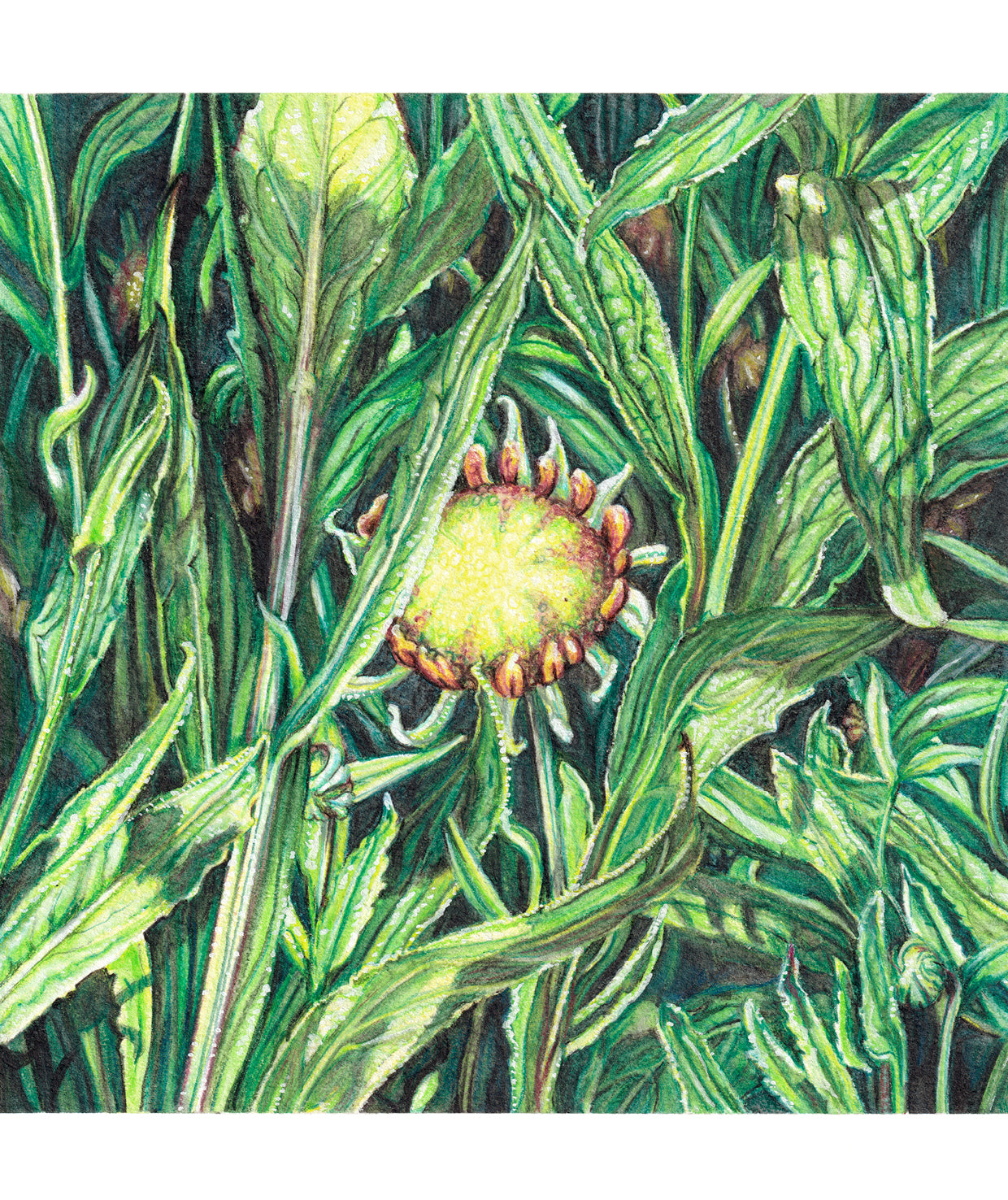 Can You See Me? - Original Artwork