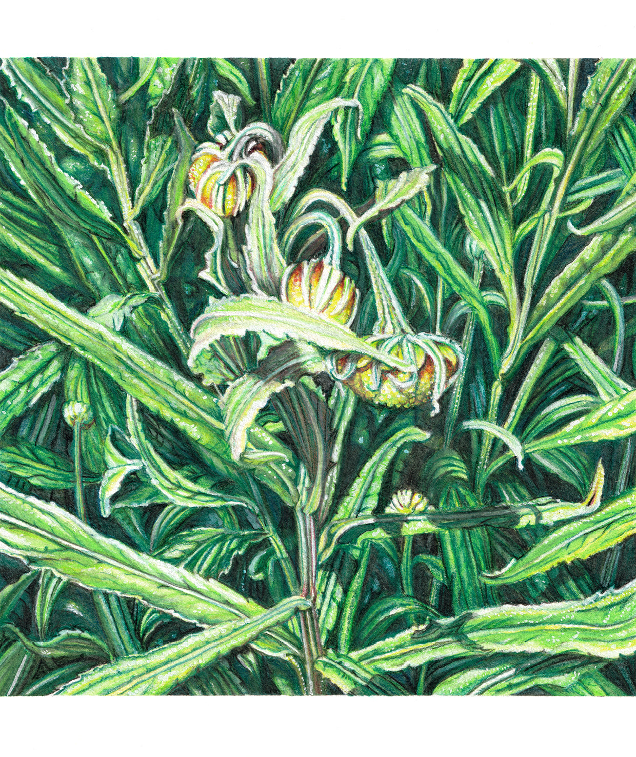 If I Close my Eyes - Framed