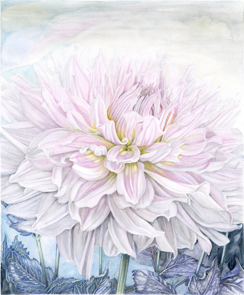 Clouds Adrift - Limited Edition Prints