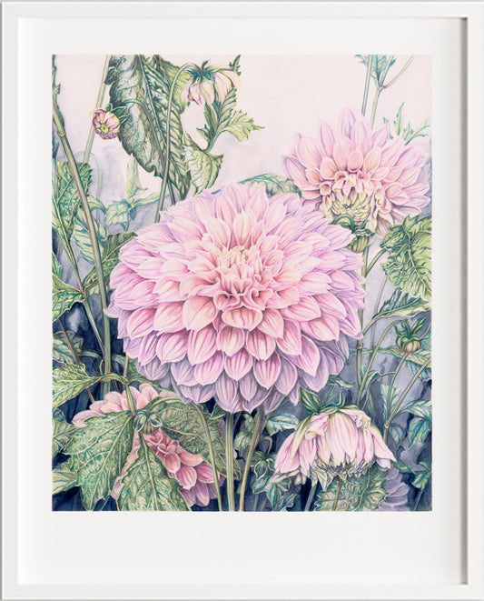 Pre-sales First Light - Limited and Open Edition Prints