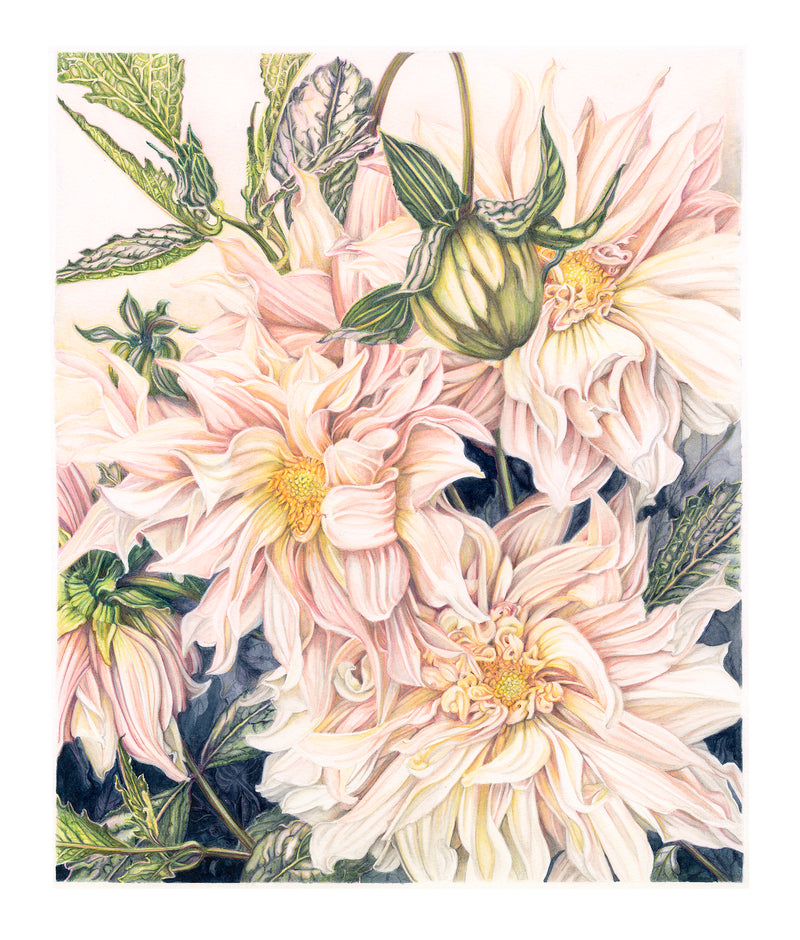 Golden - Limited Edition Prints