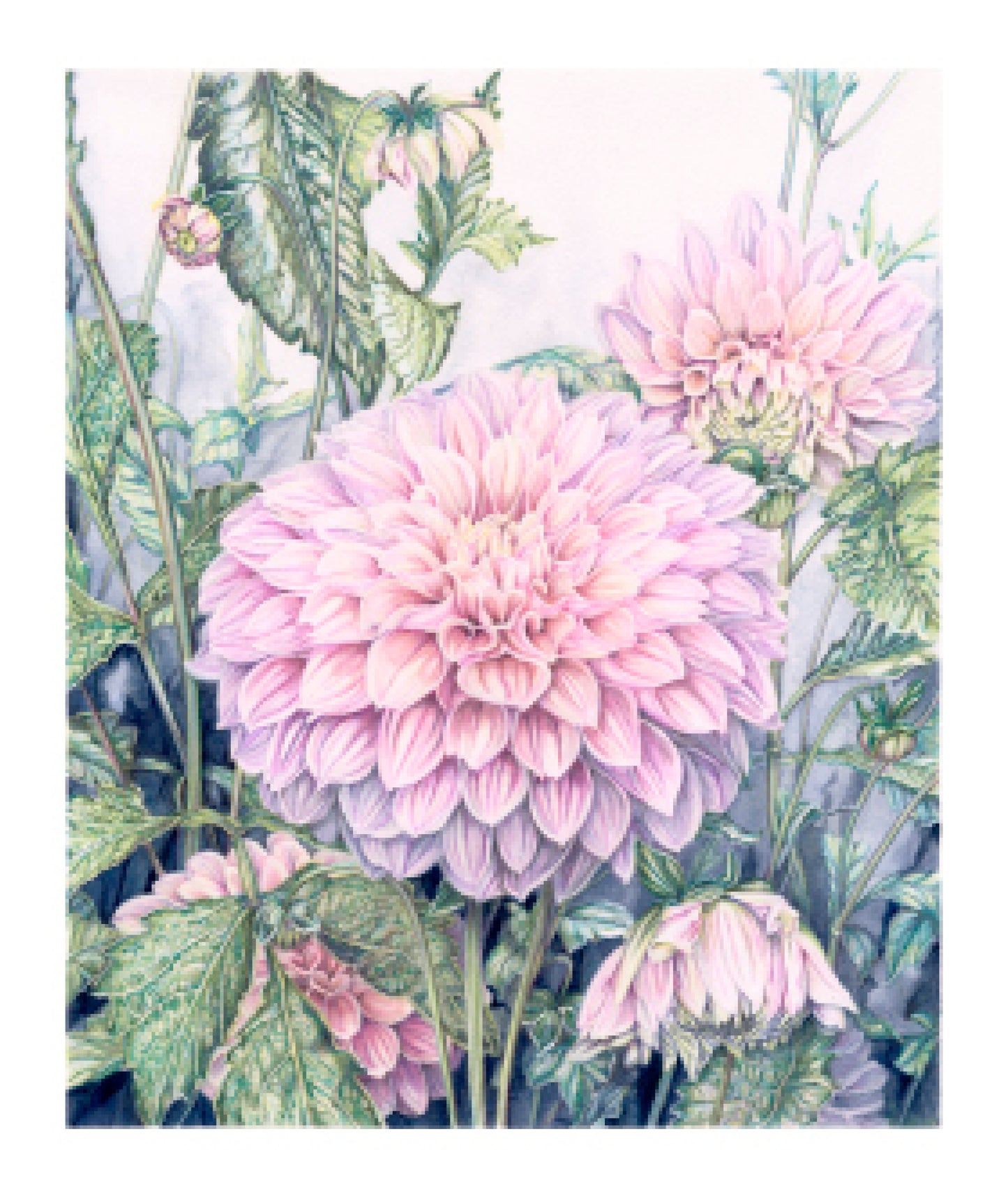 First Light - Framed