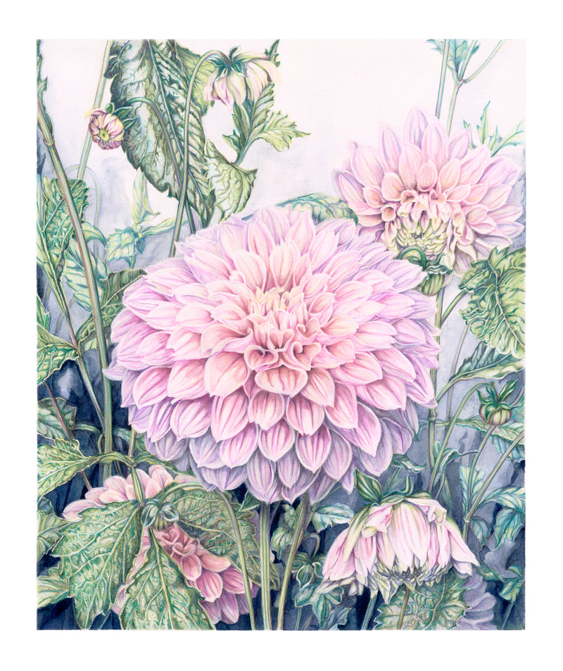 First Light - Limited Edition Prints