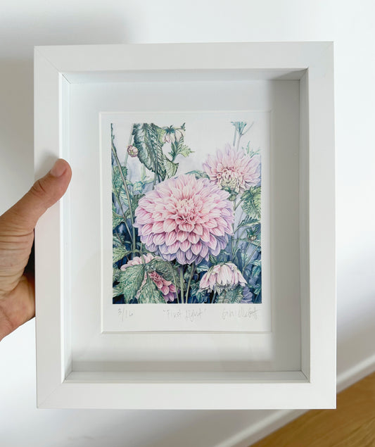 First Light - Framed